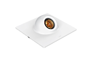 stainless-steel-flanges