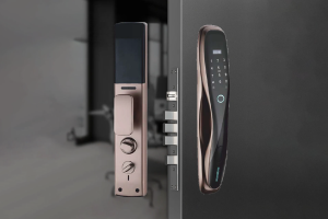 stainless-steel-flanges